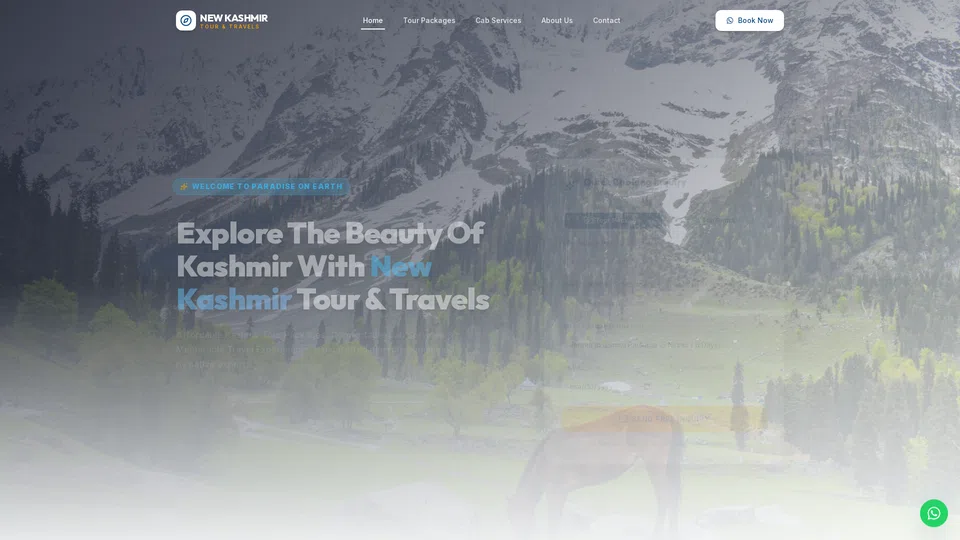 Homepage snapshot at launch