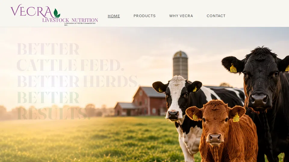 Homepage snapshot at launch