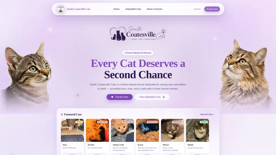 Homepage snapshot at launch
