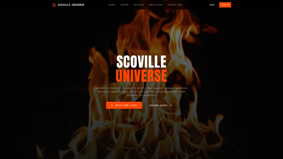 Homepage snapshot at launch