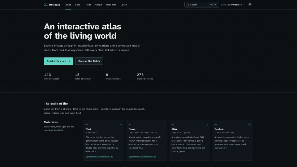 Homepage snapshot at launch