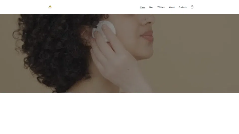 Homepage snapshot at launch