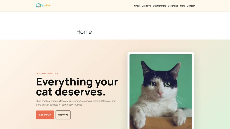 Homepage snapshot at launch