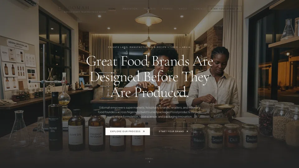 Homepage snapshot at launch