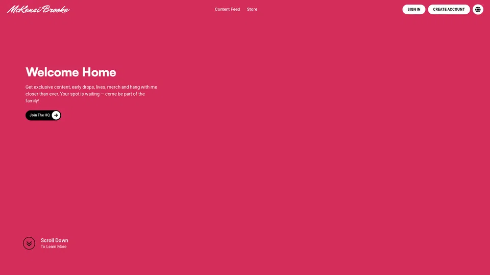 Homepage snapshot at launch