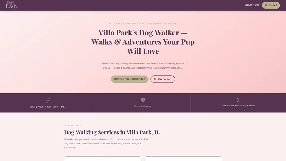 Homepage snapshot at launch