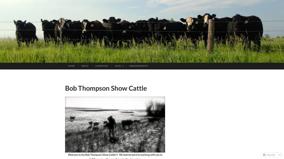 Homepage snapshot at launch