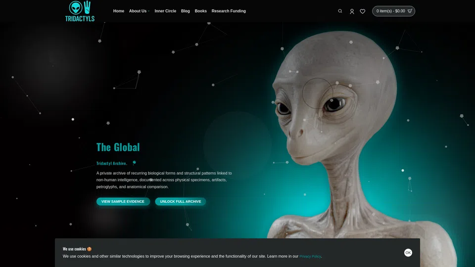 Homepage snapshot at launch