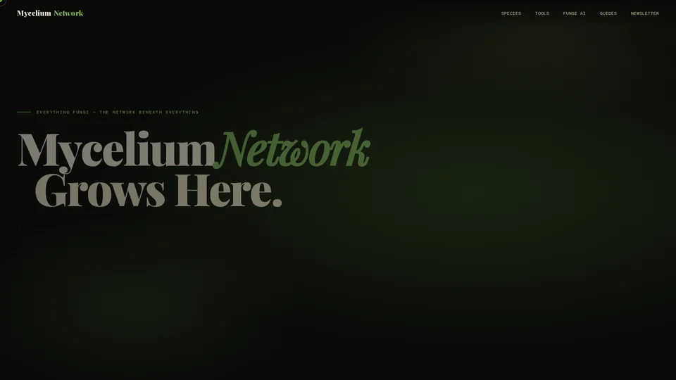 Homepage snapshot at launch