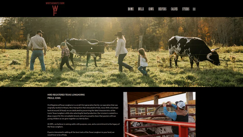 Homepage snapshot at launch