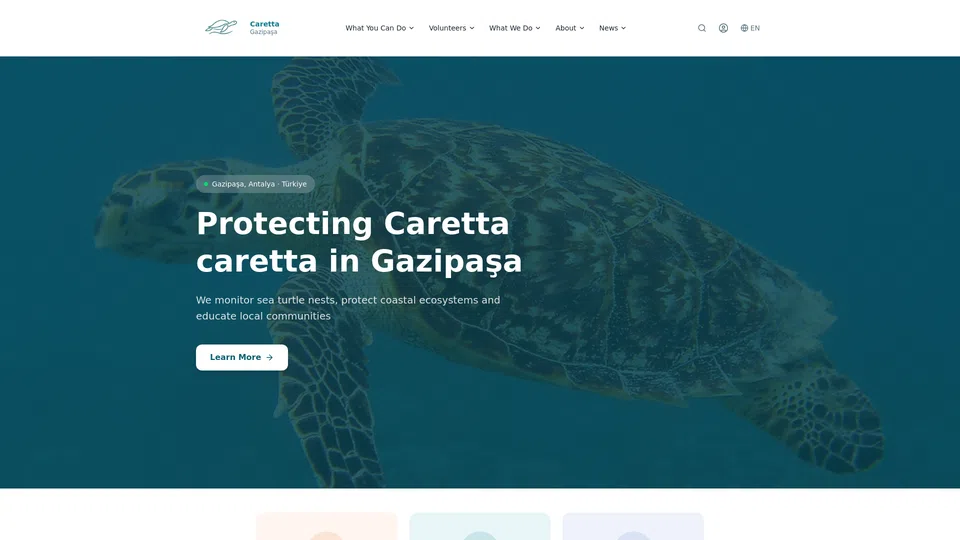 Homepage snapshot at launch