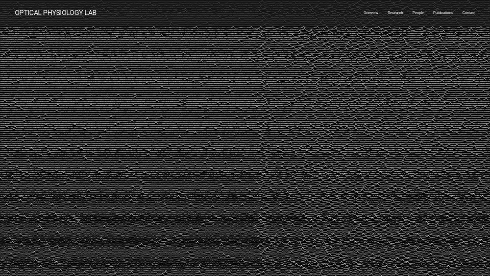 Homepage snapshot at launch