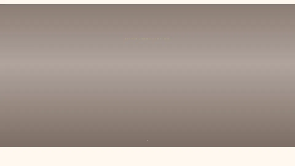 Homepage snapshot at launch