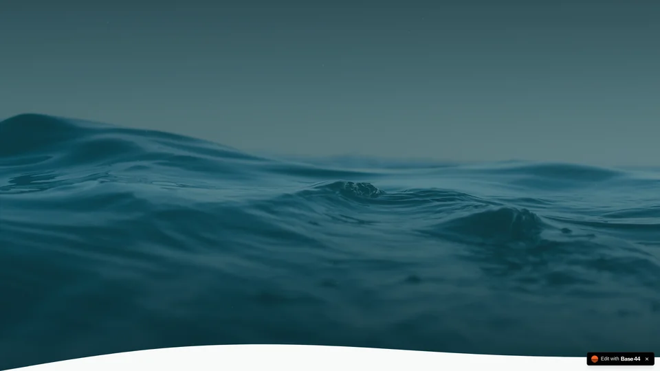 Homepage snapshot at launch