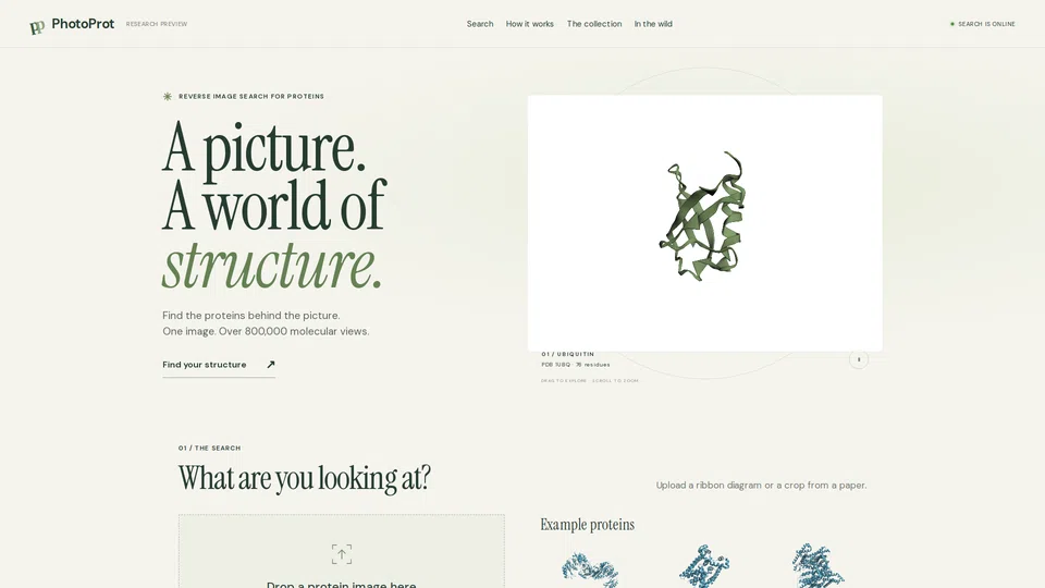 Homepage snapshot at launch