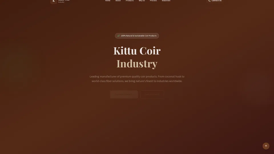 Homepage snapshot at launch
