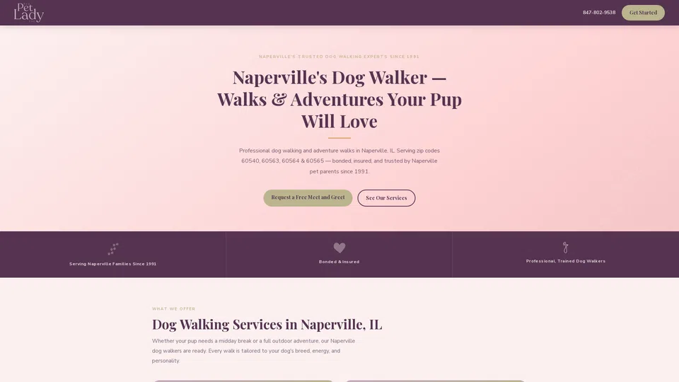 Homepage snapshot at launch