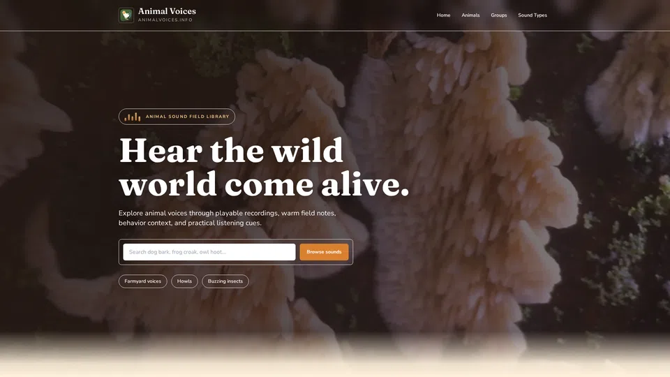 Homepage snapshot at launch