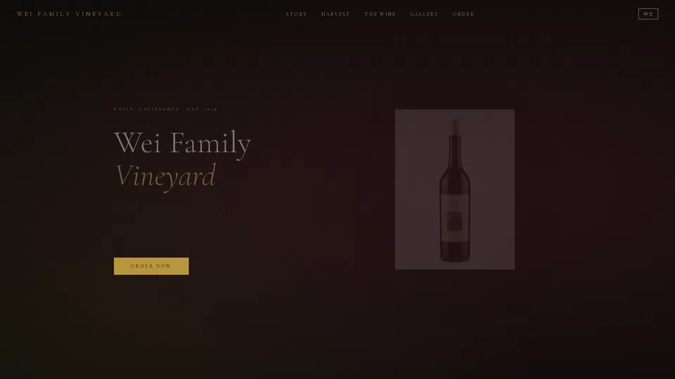 Homepage snapshot at launch