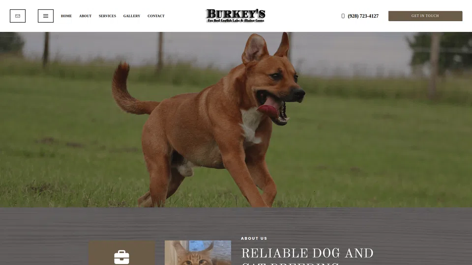 Homepage snapshot at launch