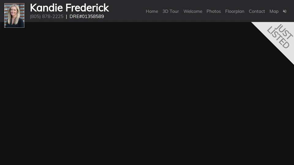 Homepage snapshot at launch