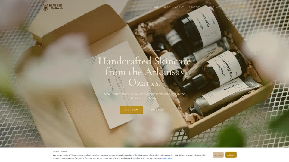 Homepage snapshot at launch
