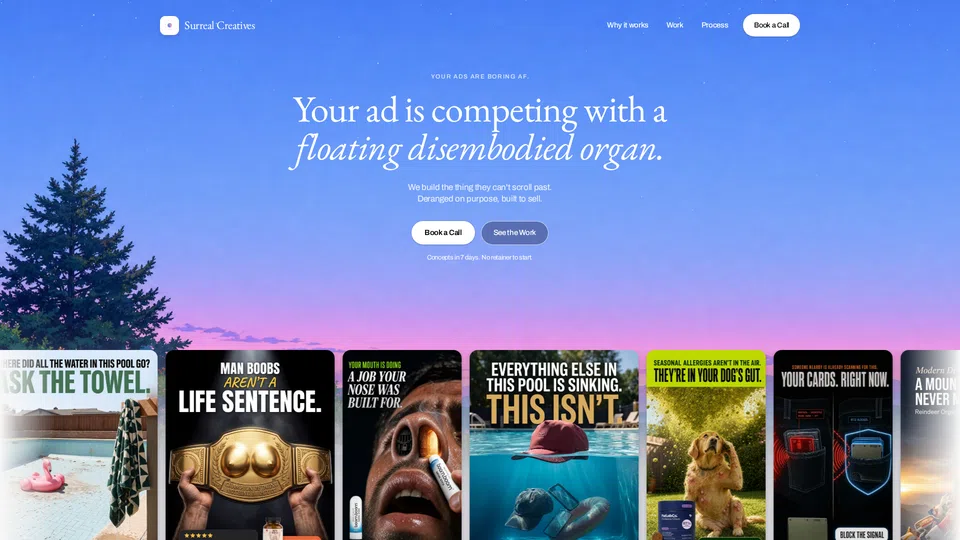 Homepage snapshot at launch