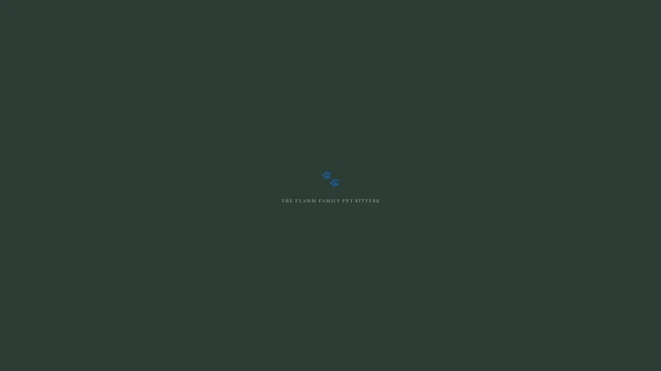 Homepage snapshot at launch
