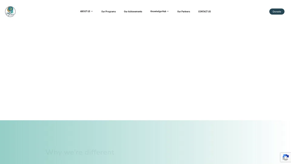 Homepage snapshot at launch