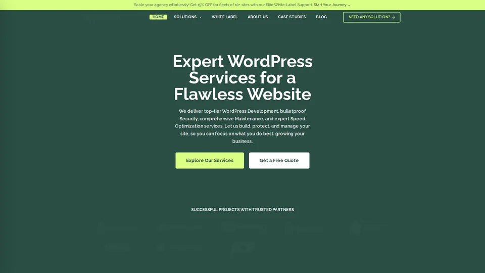 Homepage snapshot at launch