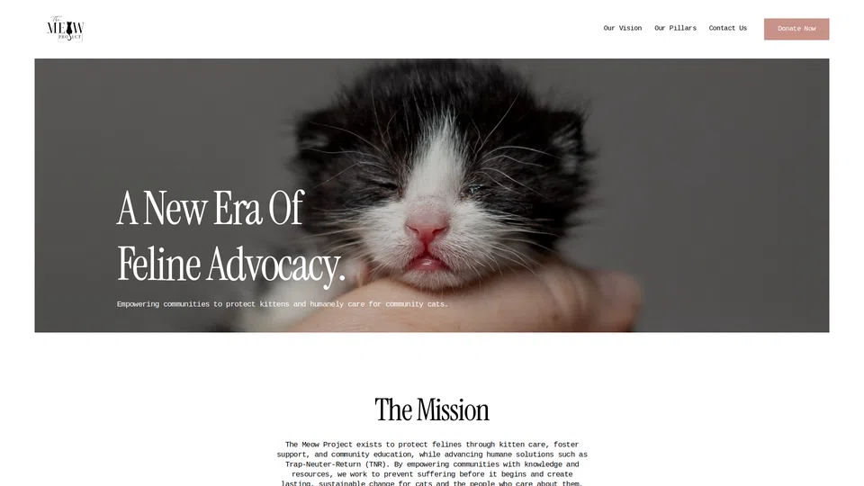 Homepage snapshot at launch