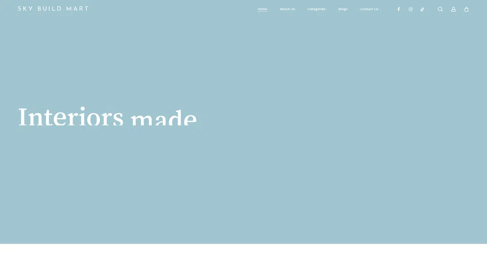 Homepage snapshot at launch