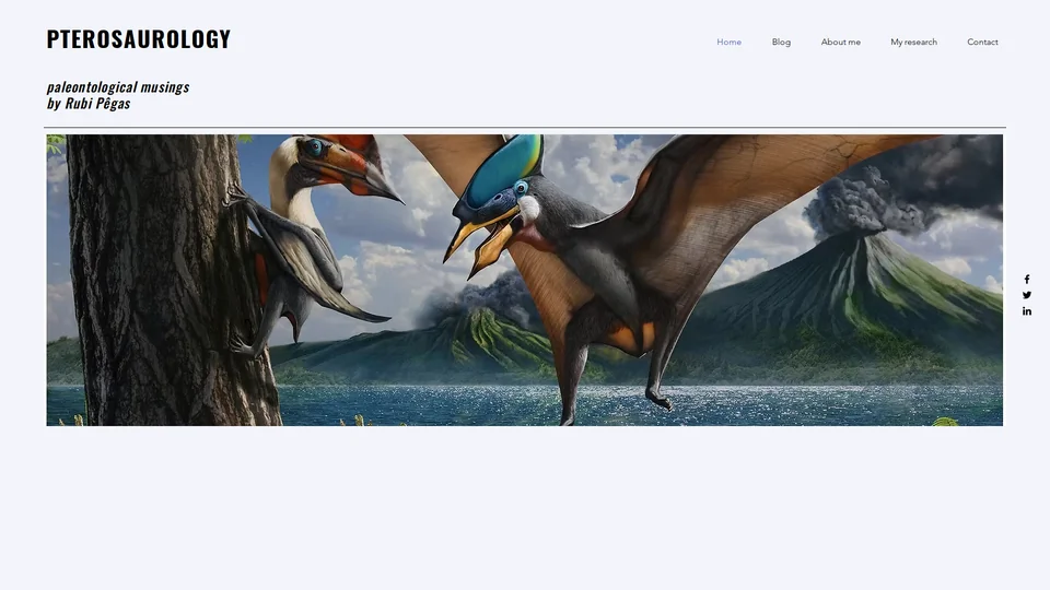 Homepage snapshot at launch