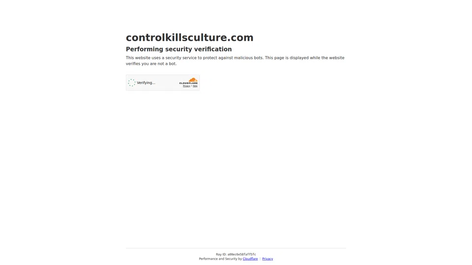 Homepage snapshot at launch