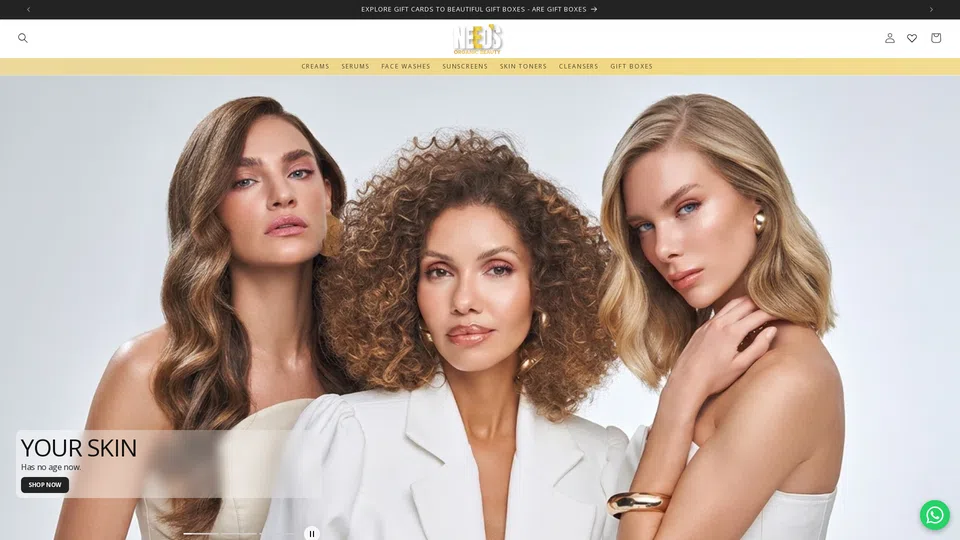 Homepage snapshot at launch