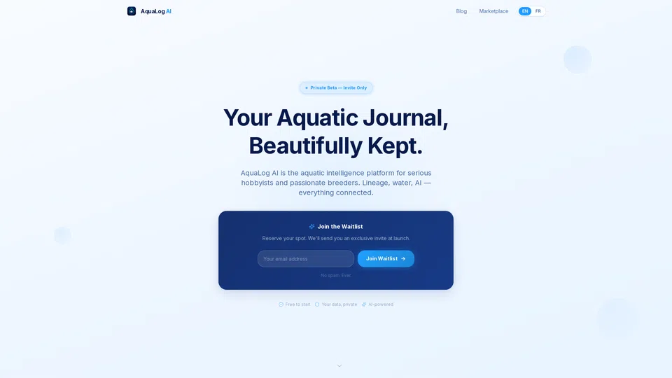 Homepage snapshot at launch