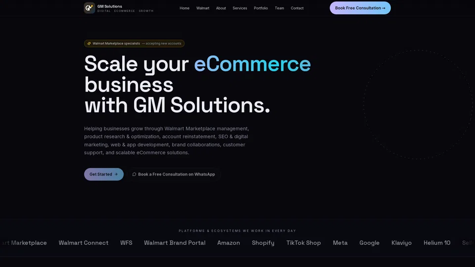 Homepage snapshot at launch