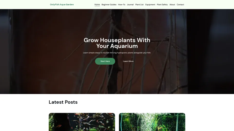 Homepage snapshot at launch