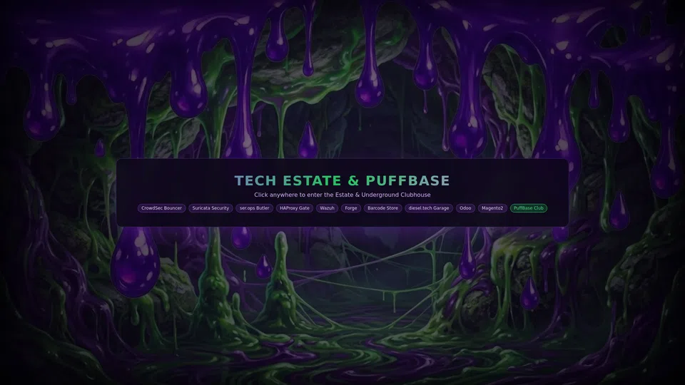 Homepage snapshot at launch
