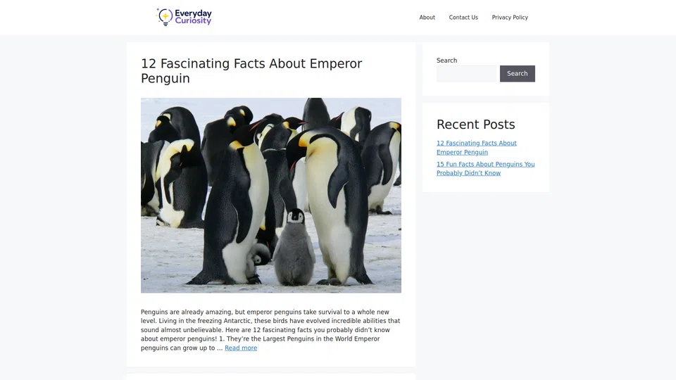 Homepage snapshot at launch