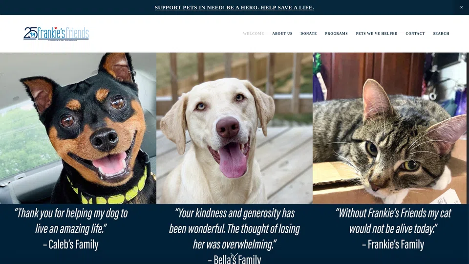 Homepage snapshot at launch