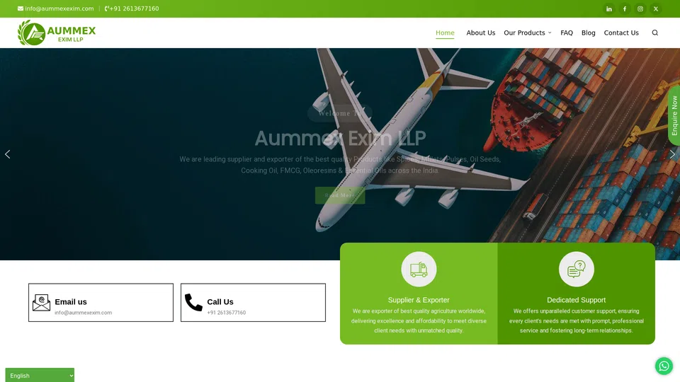 Homepage snapshot at launch