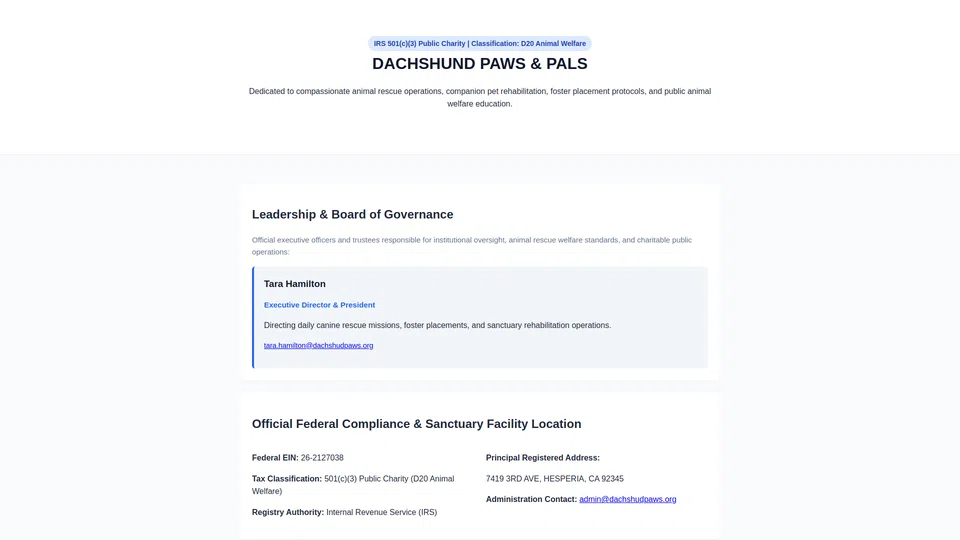 Homepage snapshot at launch