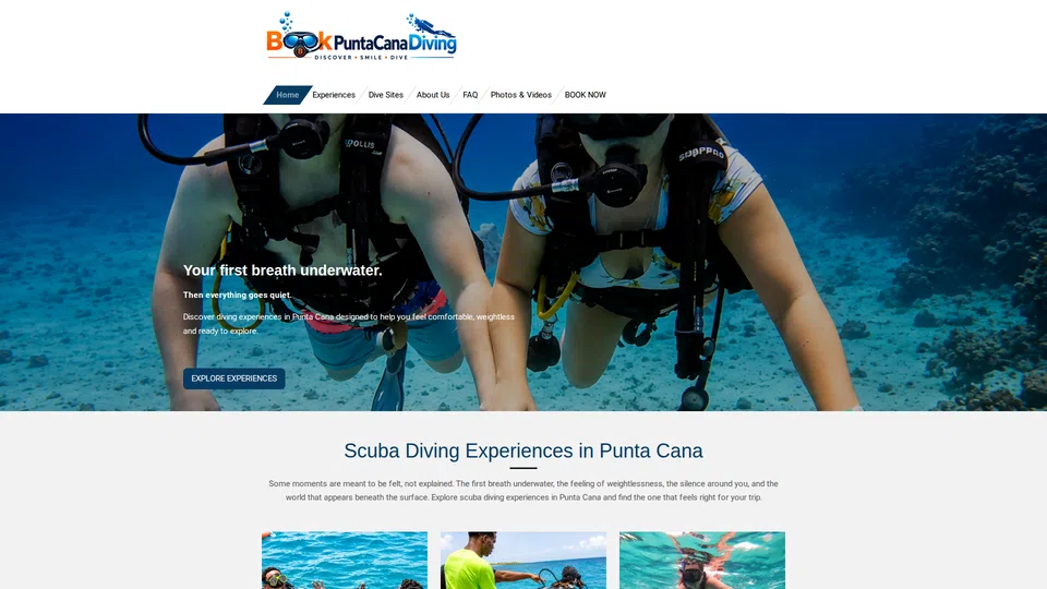 Homepage snapshot at launch
