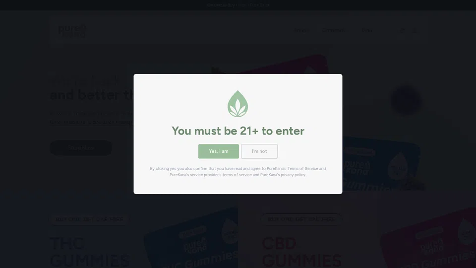 Homepage snapshot at launch