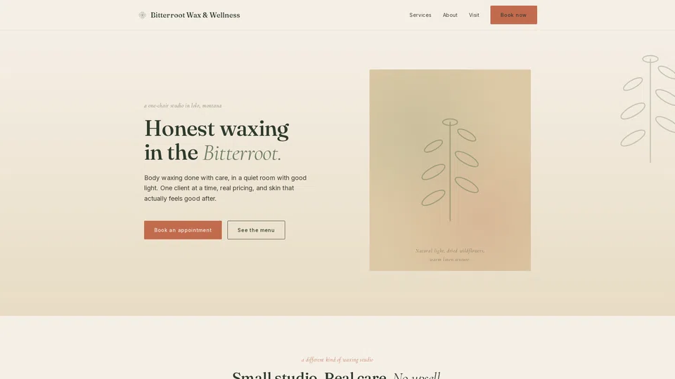 Homepage snapshot at launch