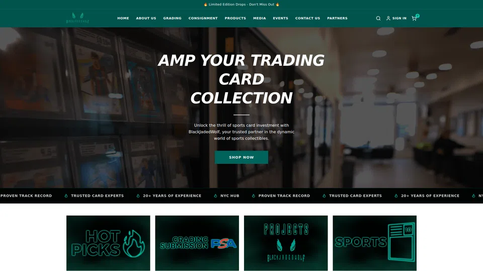 Homepage snapshot at launch