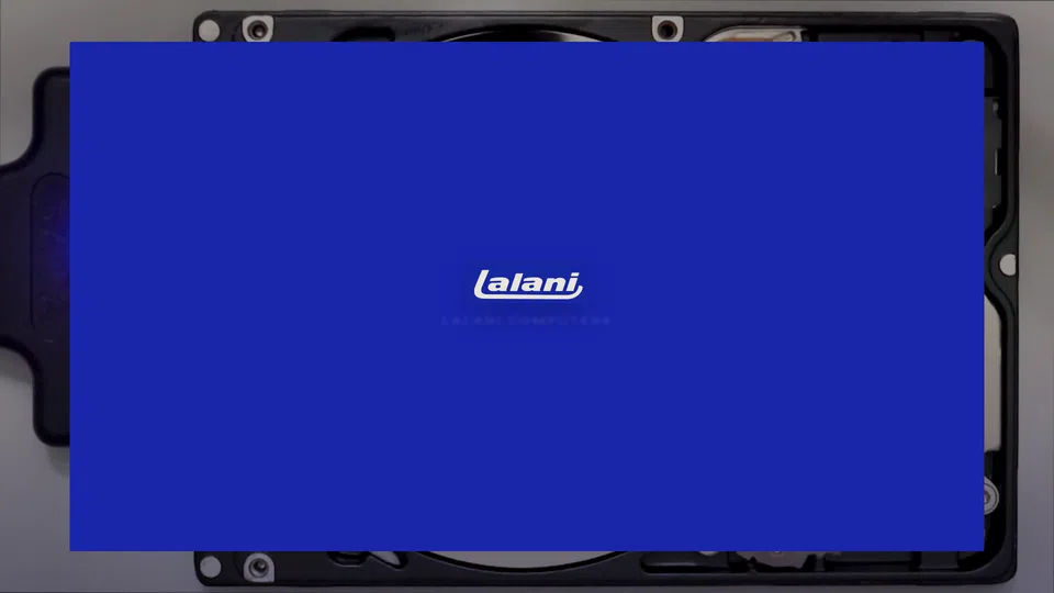 Homepage snapshot at launch