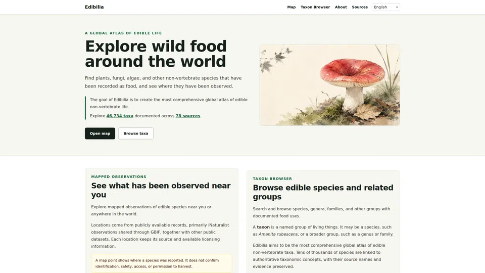 Homepage snapshot at launch