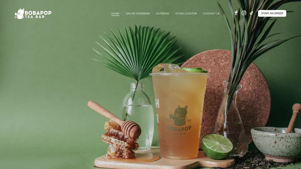 Homepage snapshot at launch
